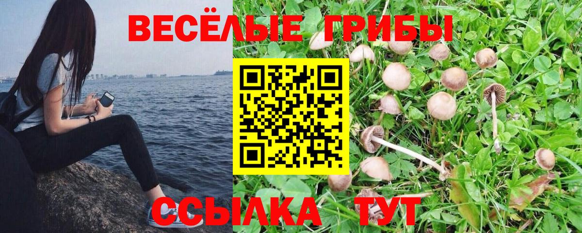 Галлюциногенные грибы ЛСД Александров