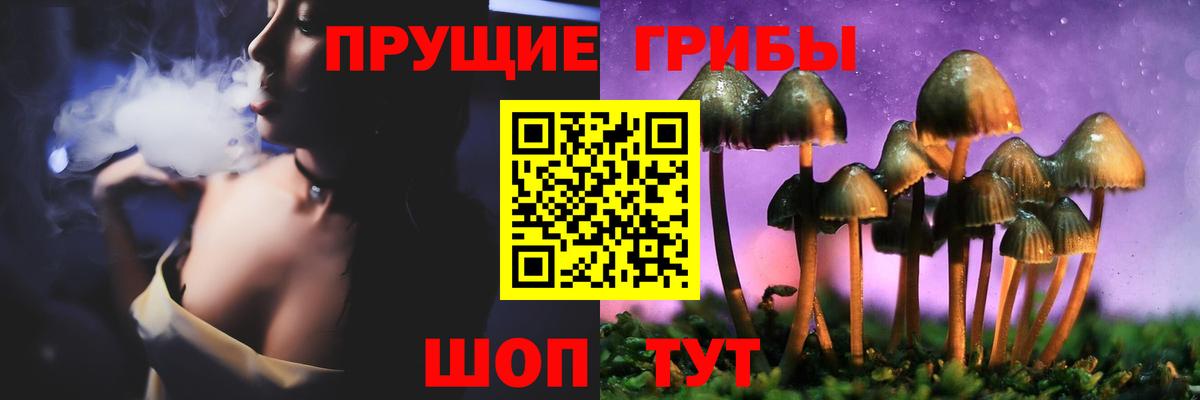 Псилоцибиновые грибы прущие грибы  Вход с VPN  Александров  Галлюциногенные грибы Magic Shrooms 